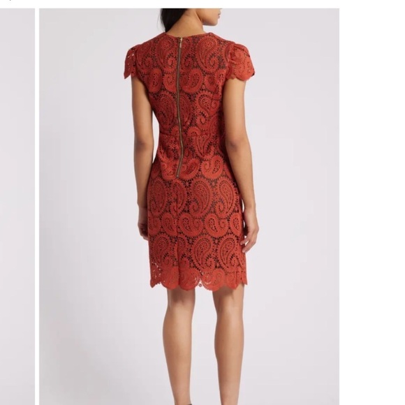 Paisley Lace Cap Sleeve Dress
Tahari ASL - Picture 2 of 4